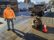 Gordy standing next to tree root ball