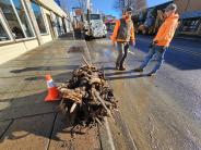 Public works guys with tree root ball