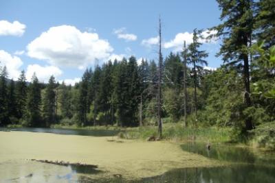 Photo of logde well in Stevenson
